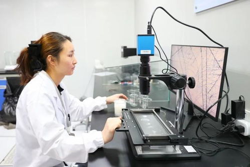 最美生產線 走進中紡聯檢上海，探索檢驗技術服務的卓越之旅